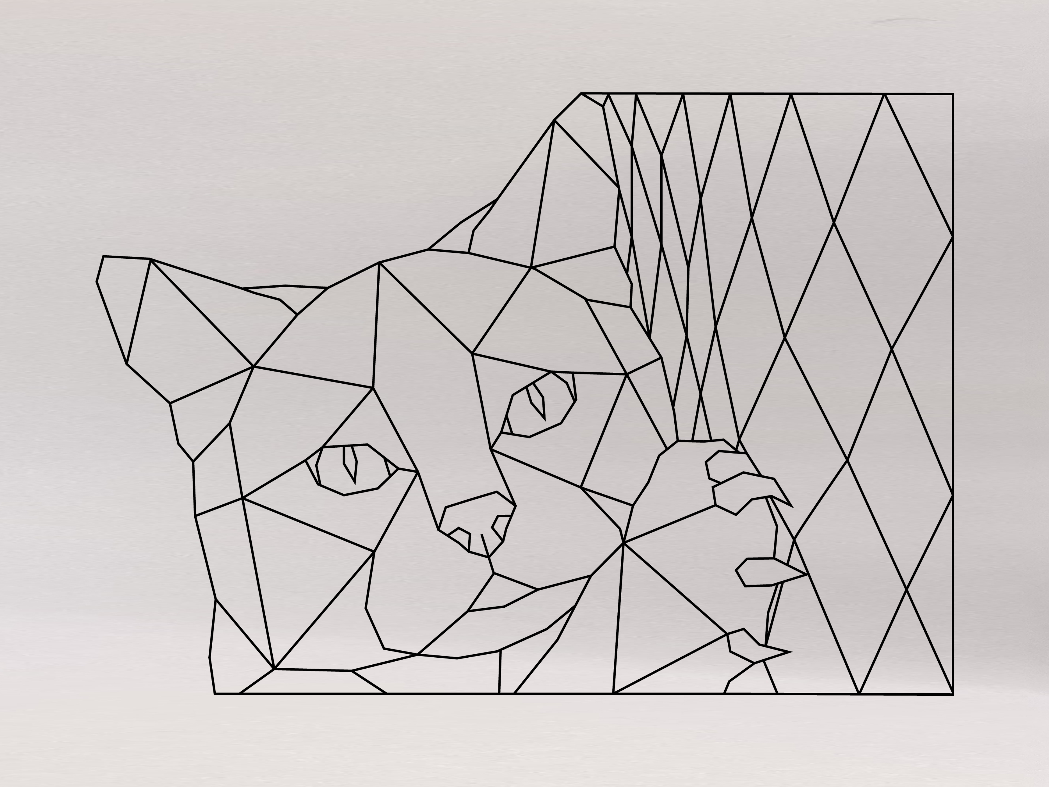 Geometrische ontwerpen