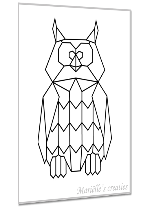 Uil 1
