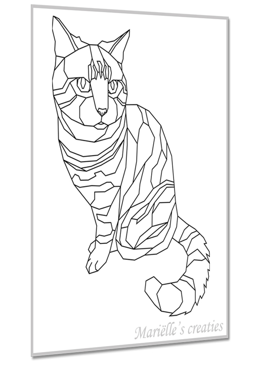 Kat 5