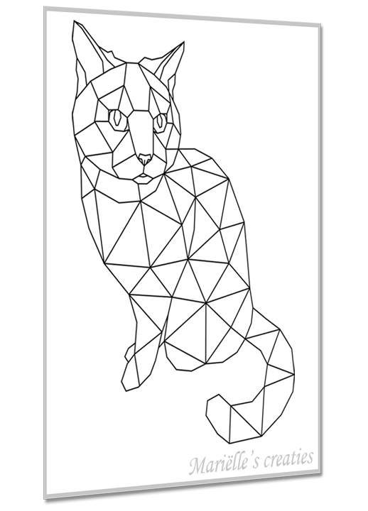 Kat 6