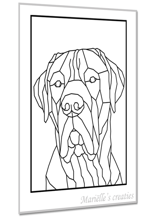 Boerboel 1