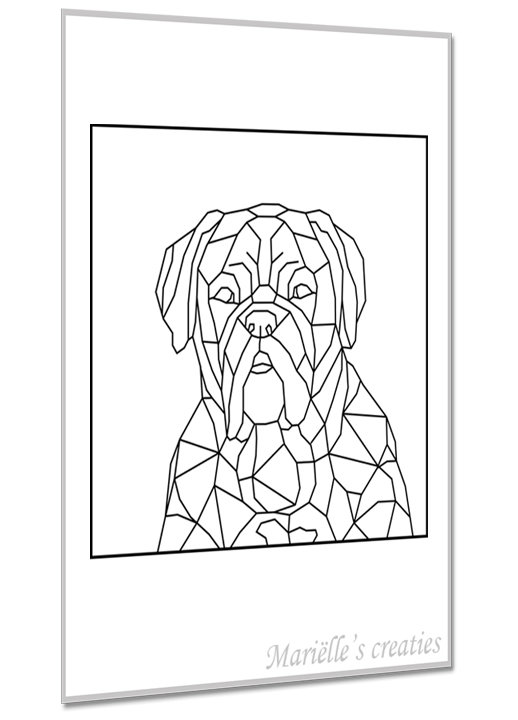 Bordeaux dog 1