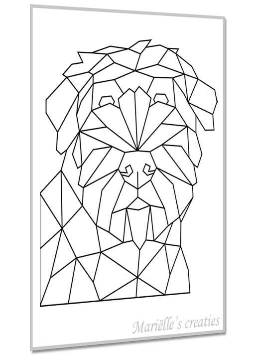 Bouvier 2
