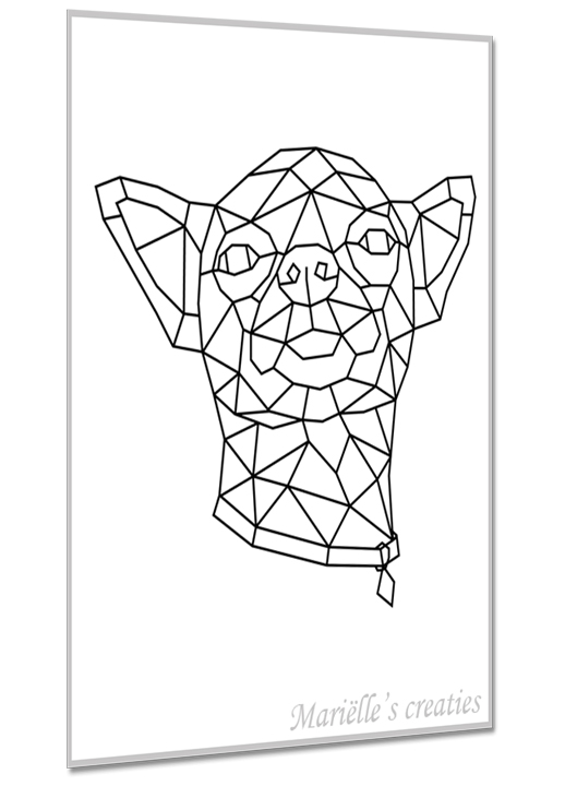 Chihuahua 1