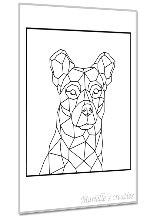 Hond kruising 11