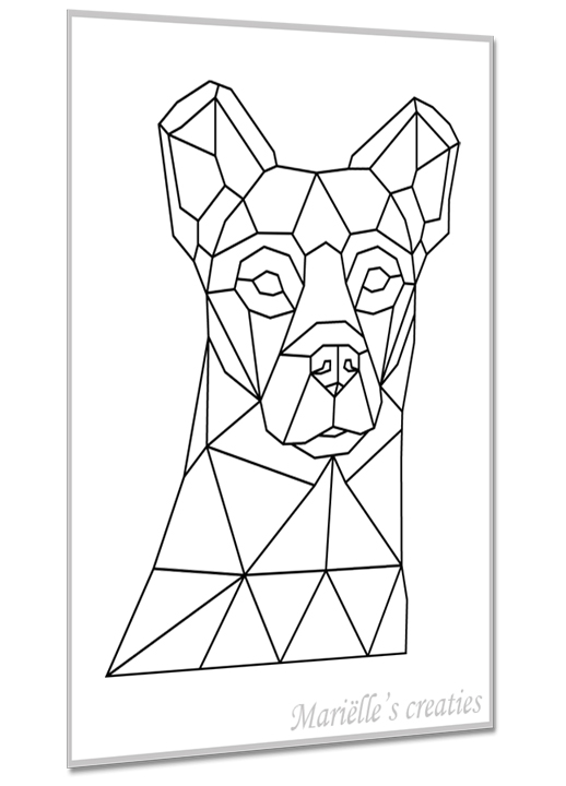 Hond kruising 12