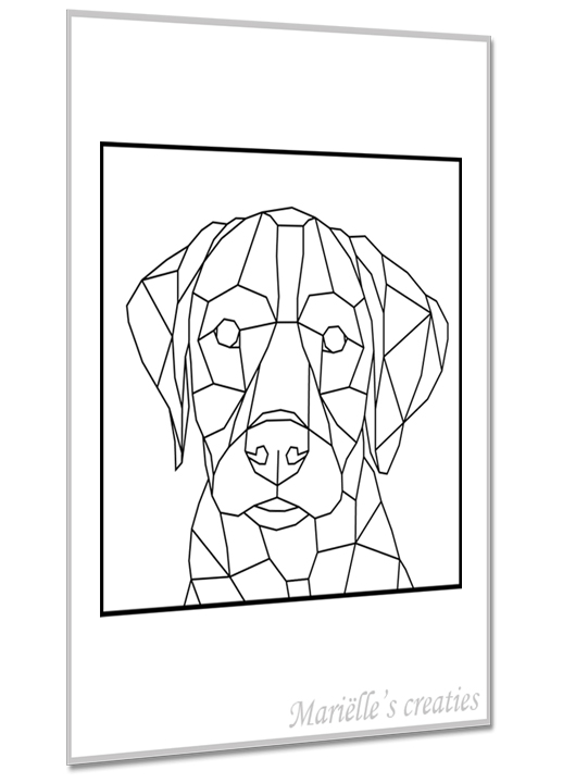 Hond kruising 14
