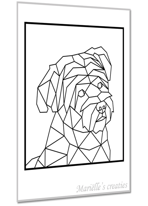 Hond kruising 16