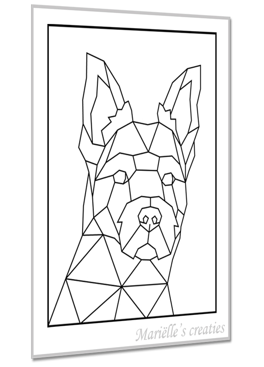 Hond kruising 19