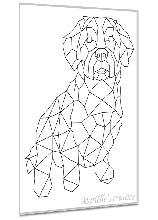 Hond kruising 24