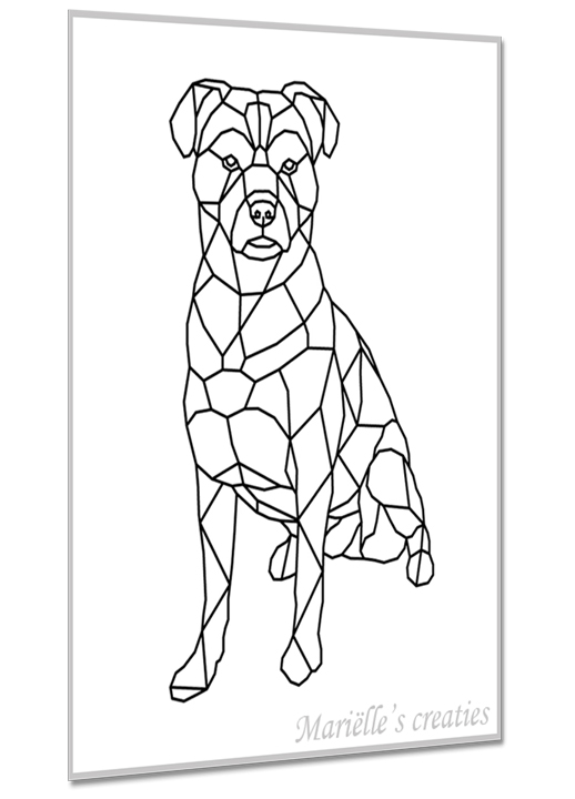 Hond kruising 3
