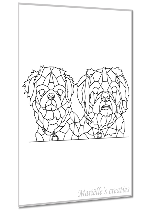 Hond kruising 7