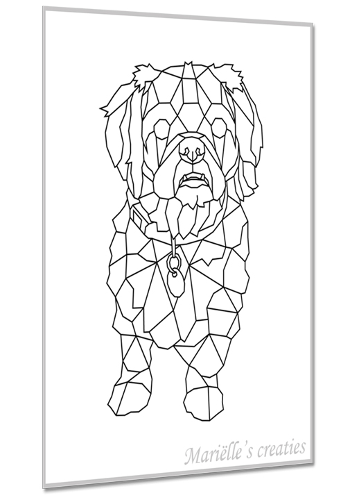 Hond kruising 8