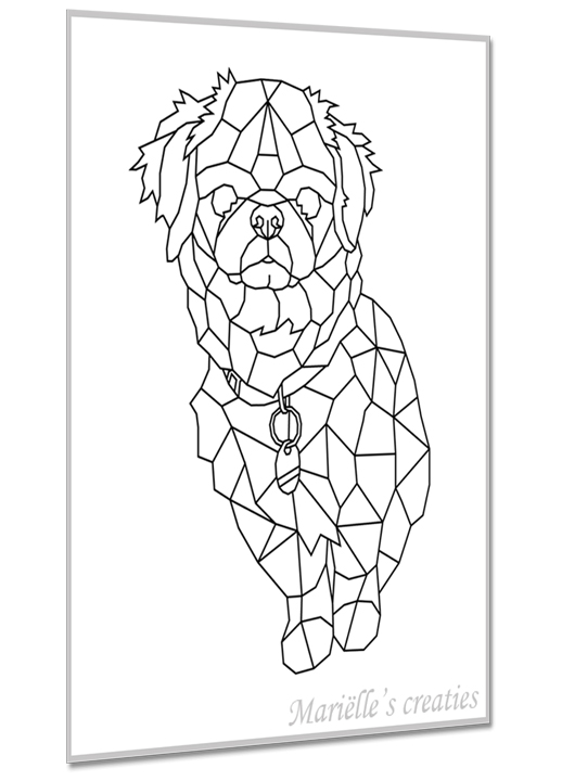 Hond kruising 9