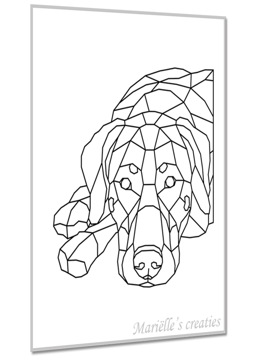 Dobermann 1