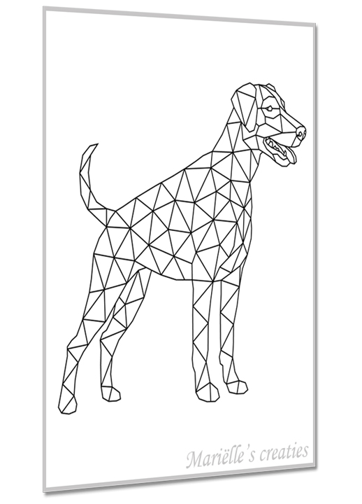 Dobermann 3
