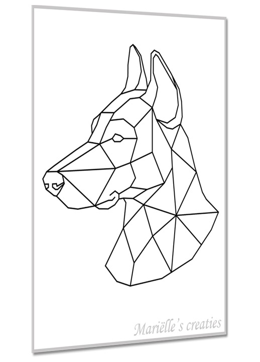 Dobermann 4