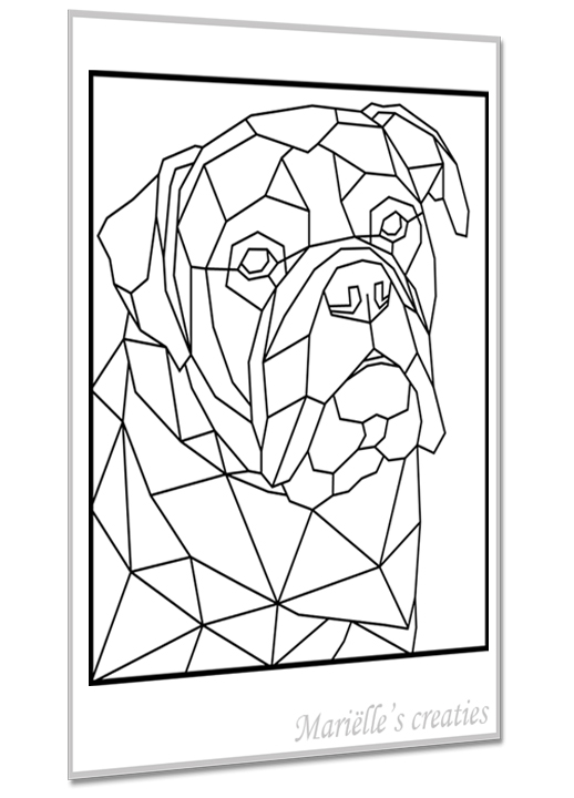 Engelse Buldog 1