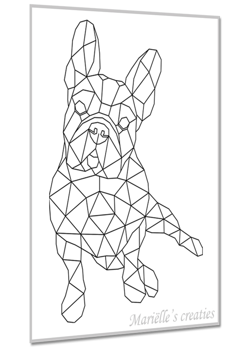 Franse Buldog 1