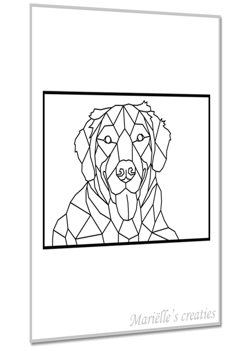 Golden retriever 1