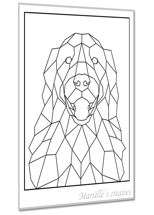 Golden retriever 2