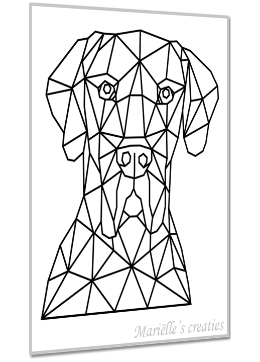 Deense dog 2