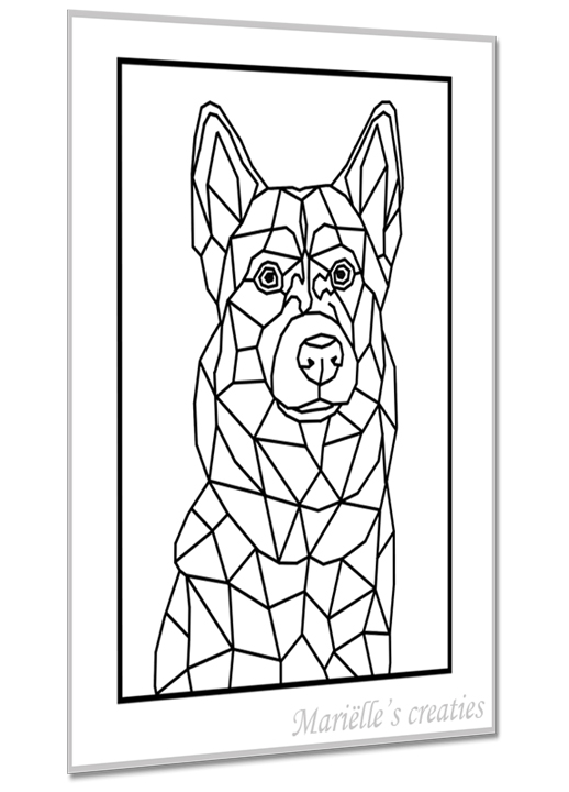 Husky 1