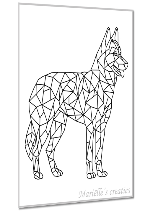 Husky 2
