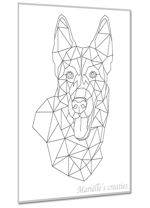 Husky 4