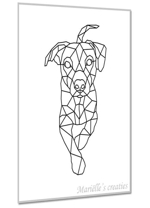 Jack Russell 1