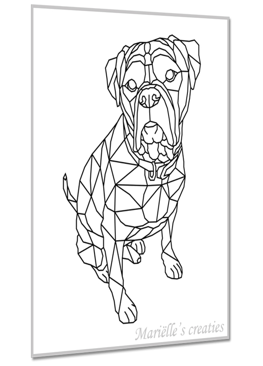 Olde English Bulldog 1