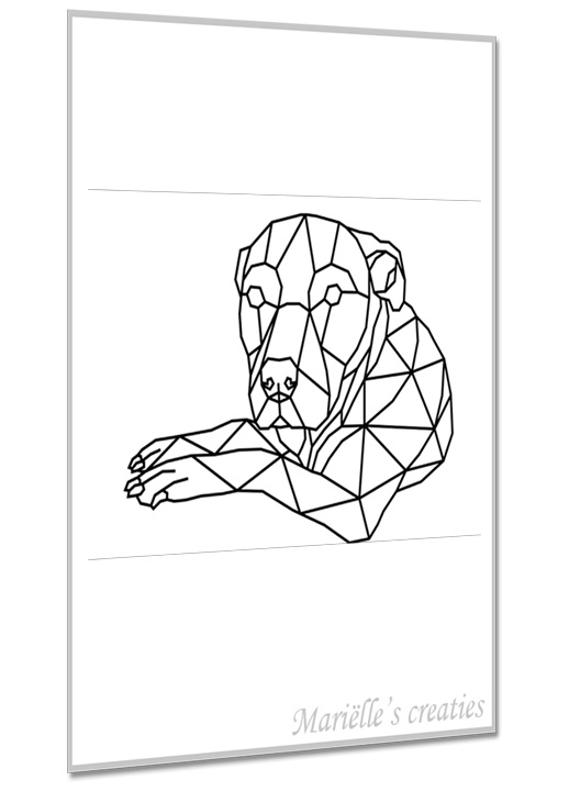 Pitbull 1