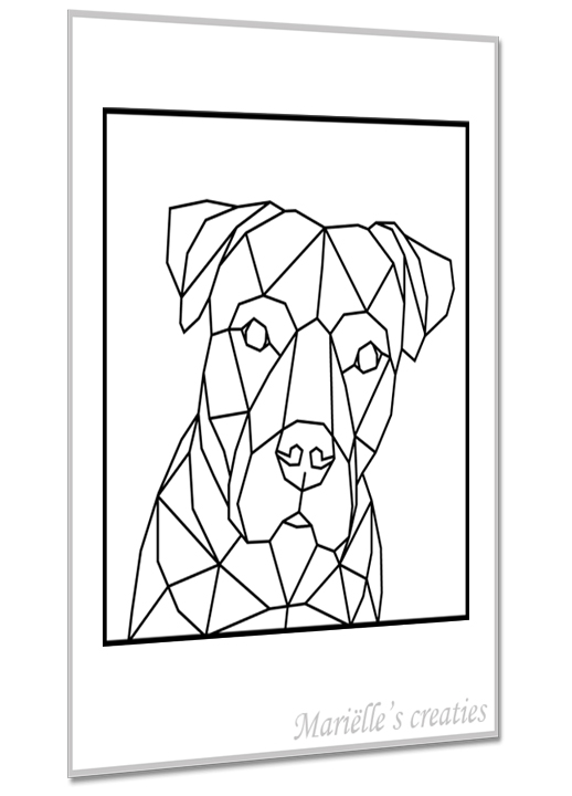 Pitbull 2