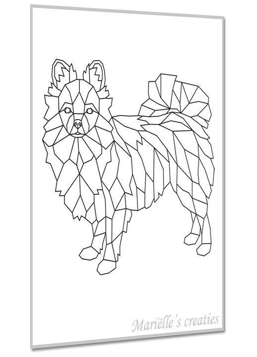 Pomchi 1