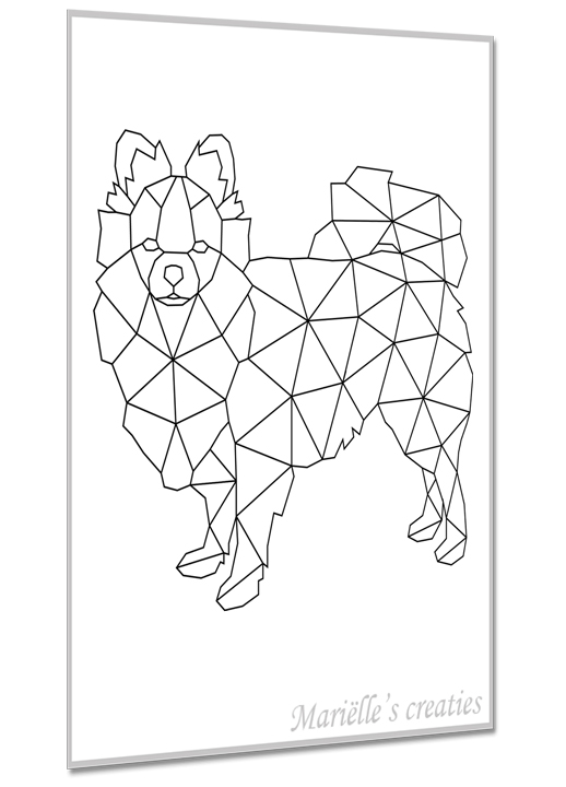 Pomchi 2