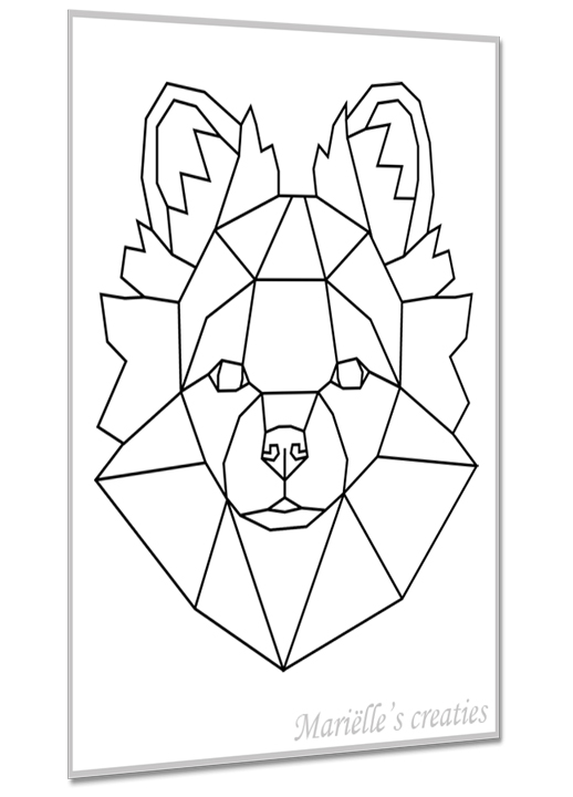 Pomchi 3