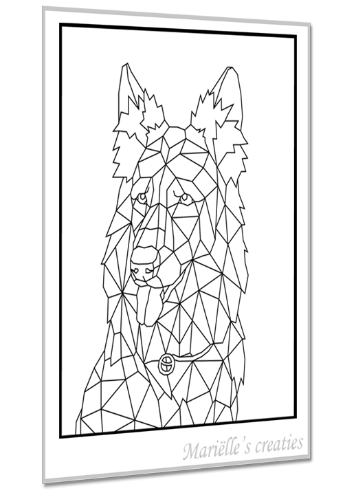 Herder 1