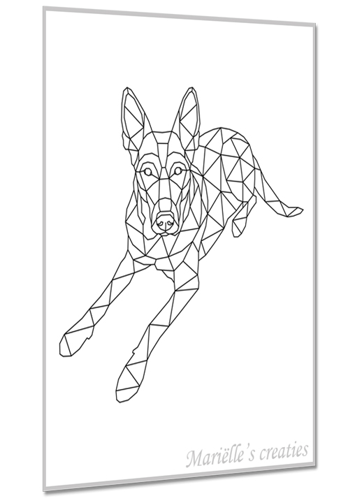 Herder 3