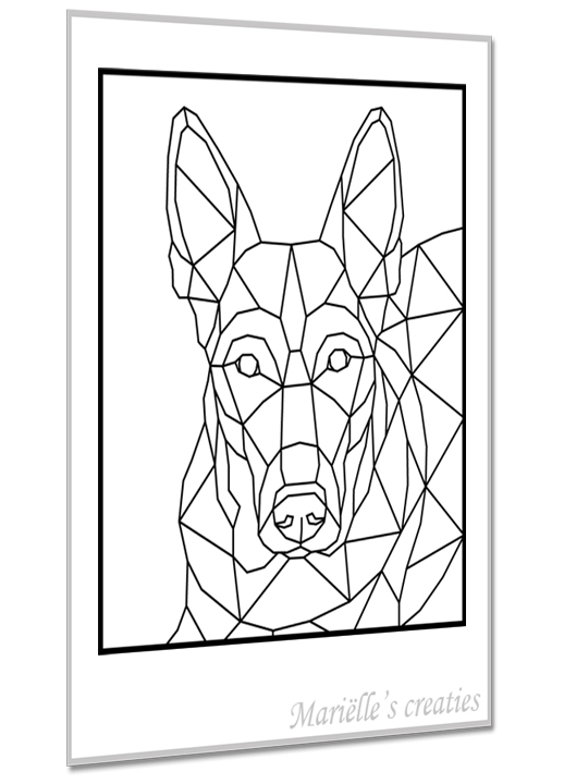 Herder 4