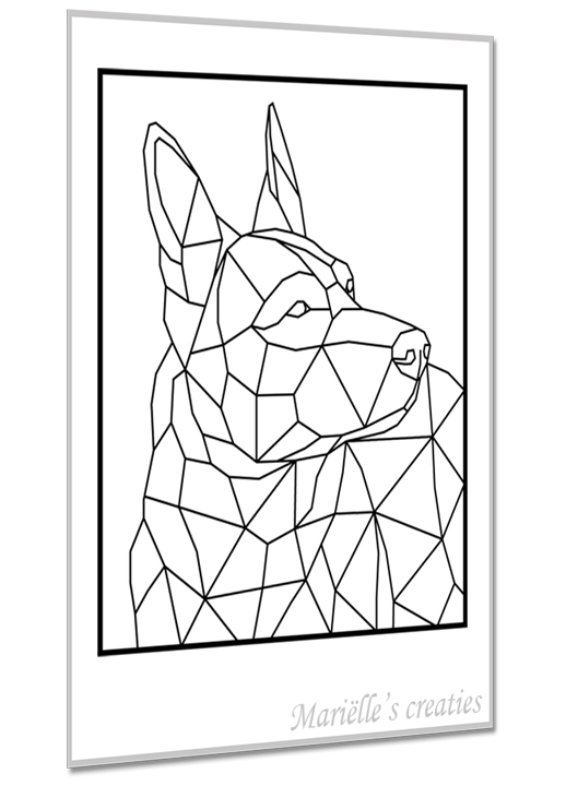 Herder 5