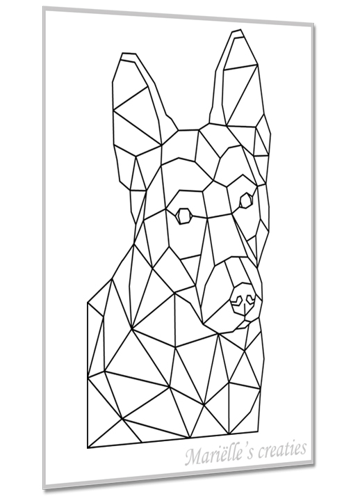 Herder 6
