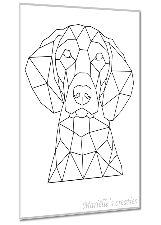 Vizsla 2