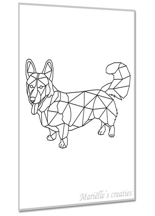 Welsh Corgi 1