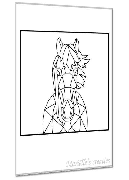 Paard 1