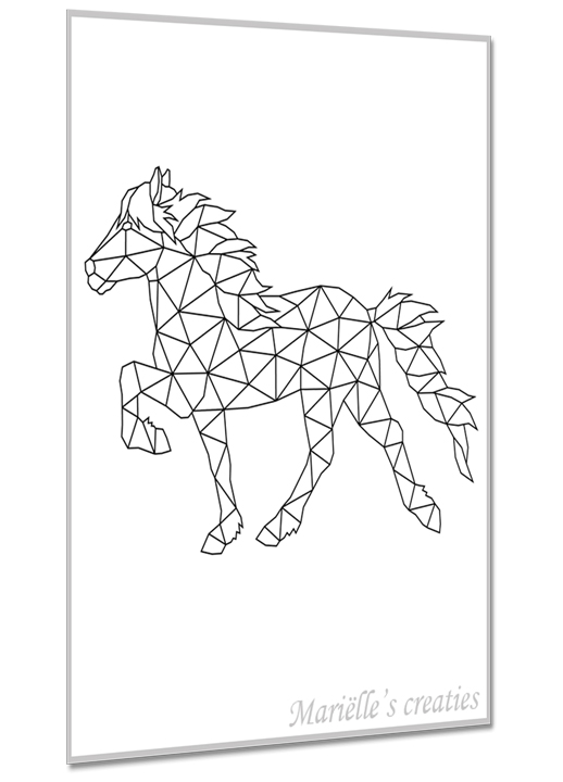 Paard 3