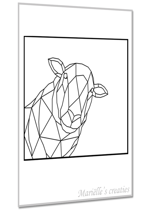 Schaap 2