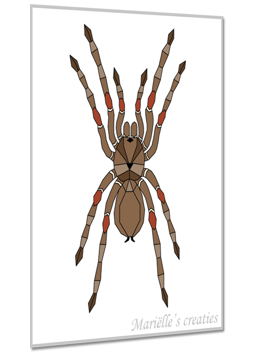 Geometric design - Marielle's creaties: Insects, Spider, Tarantula, Big spider