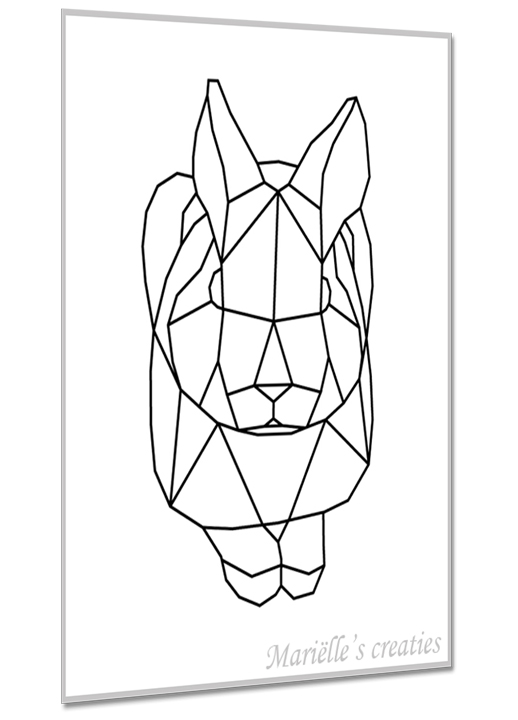 Rabbit 1