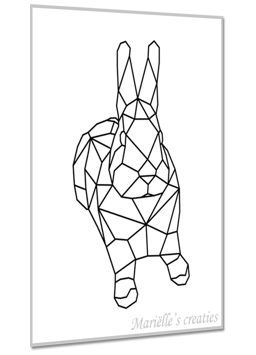 Rabbit 2