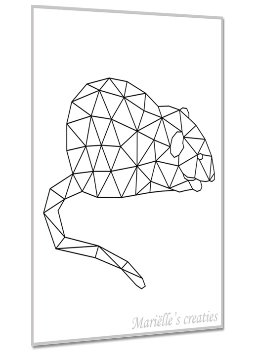 Rat 1